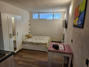 Alpe di Guin 4
